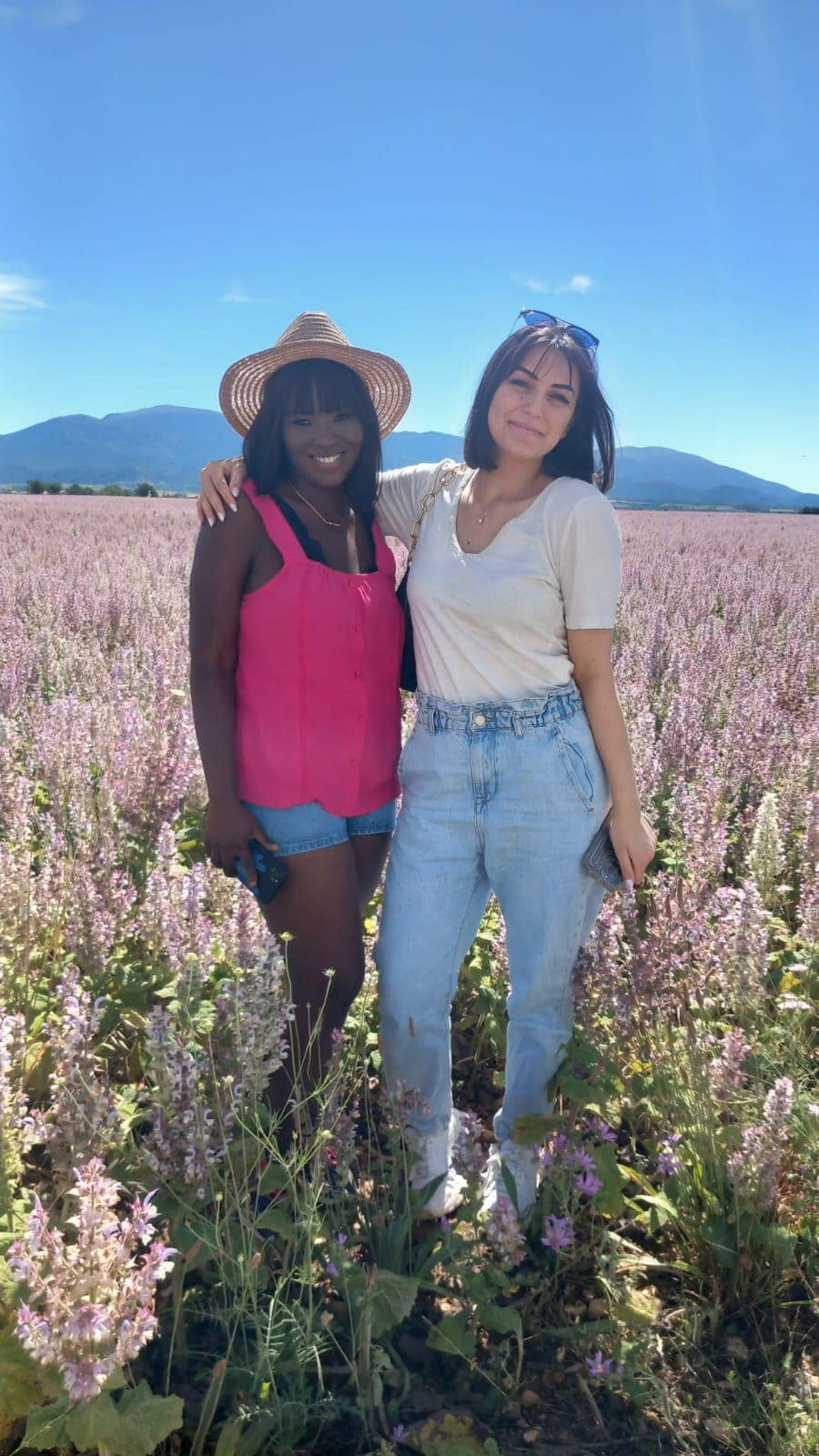 Lavender fields bus tour - main landscape